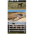 Gebraucht Galvanisiertes Heavy Duty Livestock Yards Panel